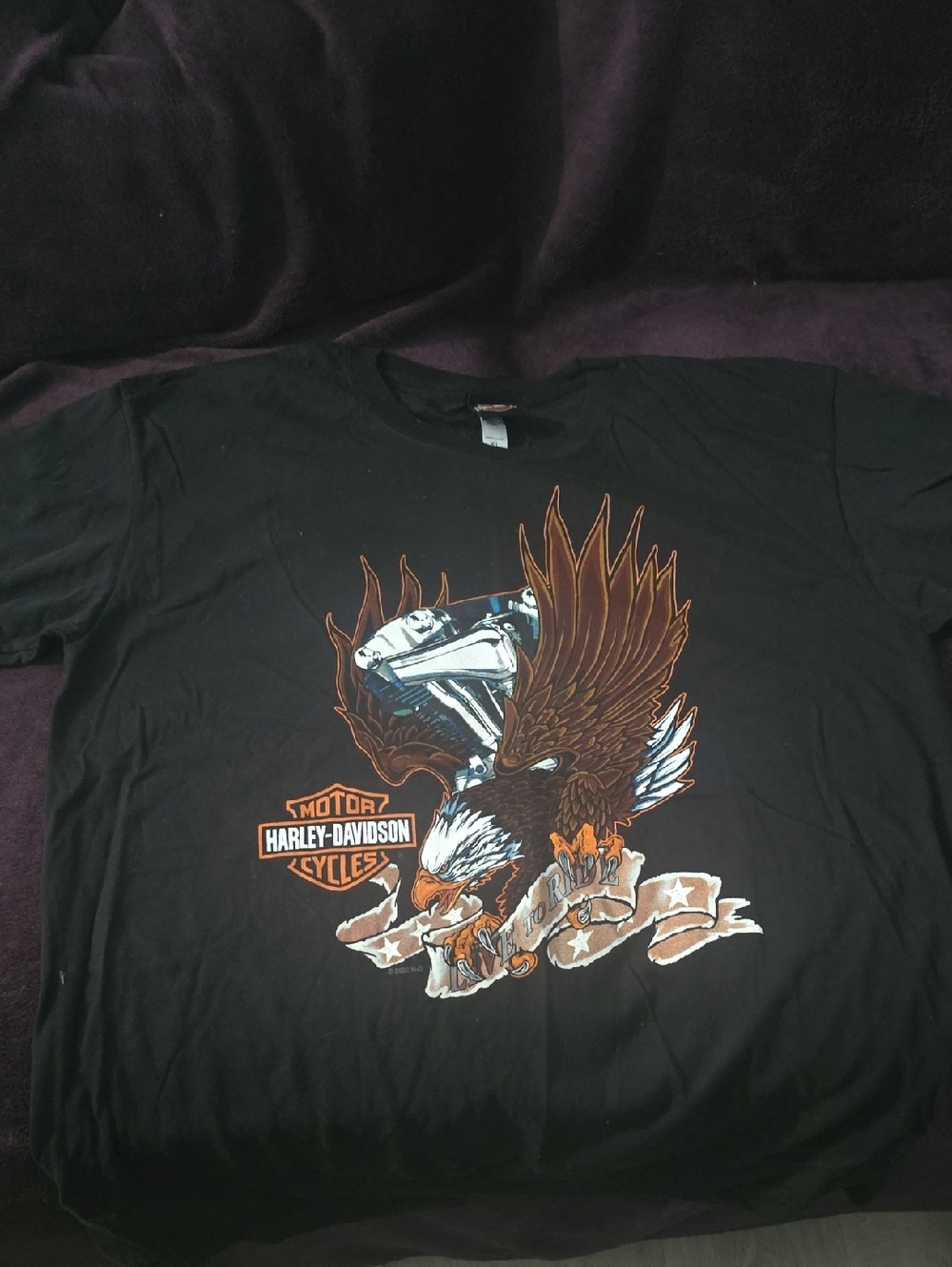 Harley-Davidson Black Tee with Brown Eagle & Silver Engine Graphic